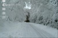 Schnee Weg 2