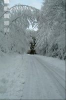Schnee Weg 1