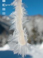 Eiszapfen 1