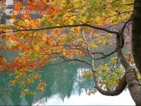 Herbstlaub 1