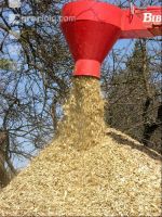 Chaff Piber 9