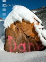Blochholz 7