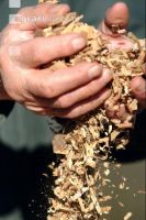 Wood chips 7