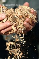 Wood chips 8