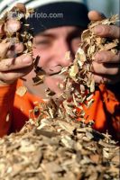Wood chips 9