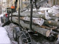 Holz laden 2