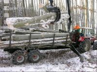 Holz laden 5