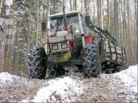 Holz laden 19
