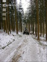 Holz laden 21