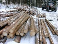 Holz laden 22