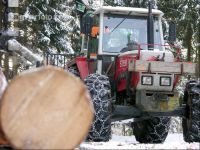 Holz laden 24