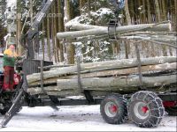 Holz laden 25