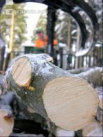 Holz laden 26
