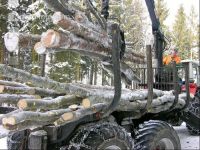 Holz laden 27
