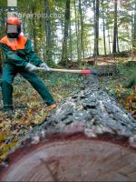 Holzfäller 