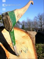 Holzsappel 1