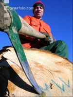 Holzsappel 2