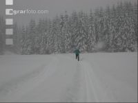 Langlauf 1