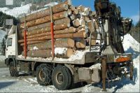 Holzfuhre 1