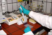 BSE Test 