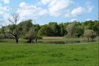 Donauauen 9