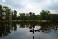 Donauauen 10