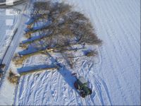 Holz Luft 3