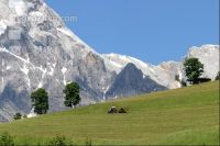 Alpine Heuarbeit 