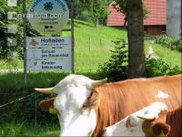 Hofschild 1
