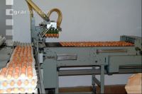 Eier sortieren 5