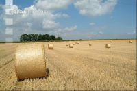 Rundballen Stroh 1