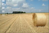 Rundballen Stroh 2