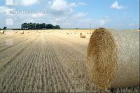 Rundballen Stroh 4