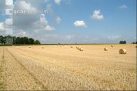 Rundballen Stroh 6