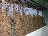 Grain cleaner 2