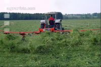Grünfutter zetten 34