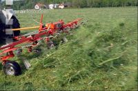 Grünfutter zetten 37