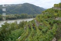 Wachau 4