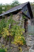 Wachau 3