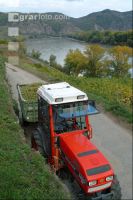 Weinlesen 35