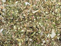 Silomais Silage 35