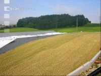 Silomais Silage 41