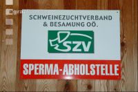 Samen abholen 5