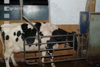 Feeding station