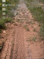 Cracks in the soil 2