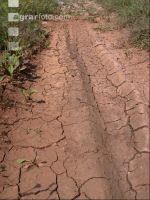 Cracks in the soil 1