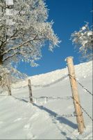 Verschneit 6