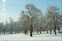 Verschneit 1