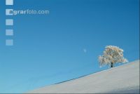Verschneit 4