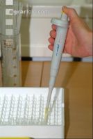 Sperma untersuchen 4